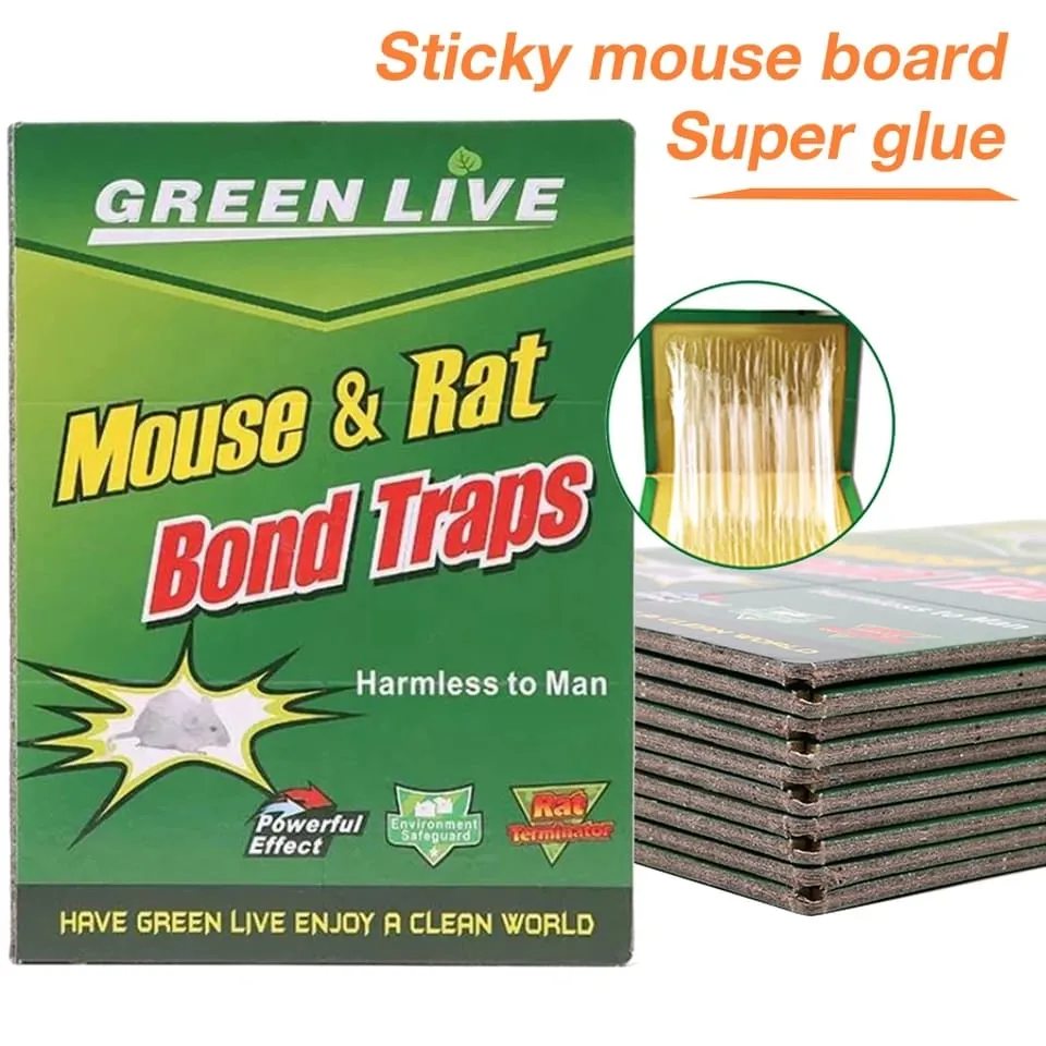 1238 Mice Traps Sticky Boards Strongly Adhesive That Work Capturing Indoor and Outdoor