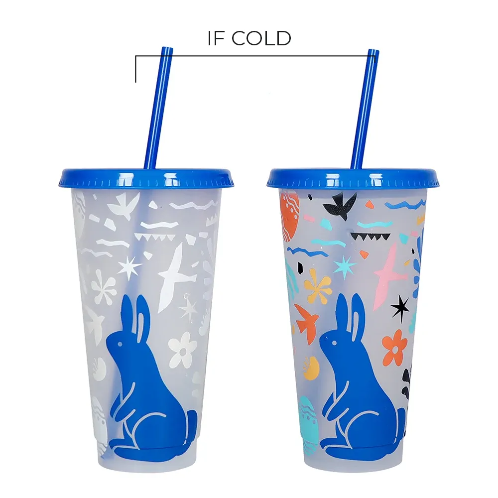 Custom Color Changing Reusable Magic Plastic Tumbler Mugs with Lid