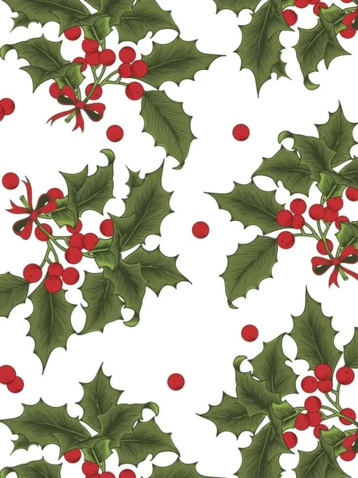 Holiday Print Napkin and Placemat (set of 4)