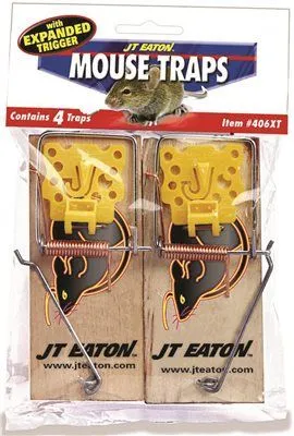 Mouse Traps 2 Pack